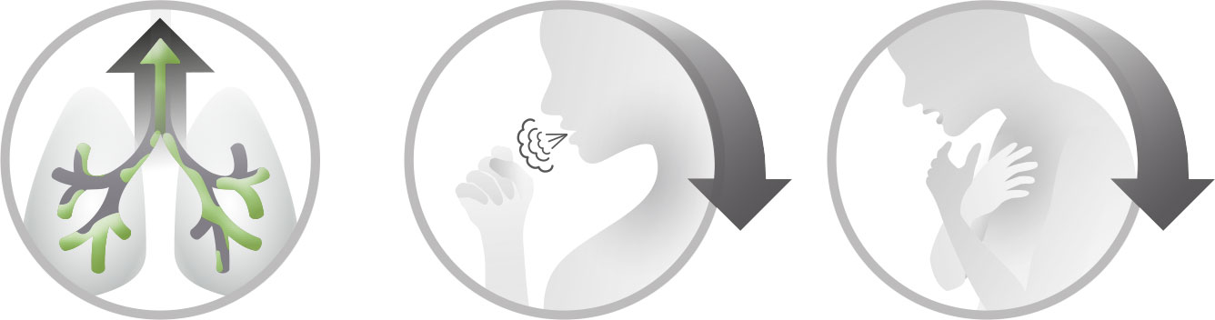 rc cornet plus icons