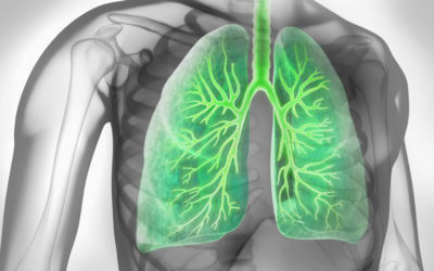 Asthma bronchiale – Fakten und Hintergründe zur Lungenkrankheit
