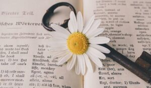 Ein Gänseblümchen und ein alter Schlüssel liegen auf den offenen Seiten eines Vintage-Buches mit gedrucktem Text.