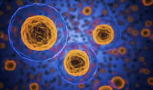 Abbildung mehrerer Zellen mit orangefarbenen Zentren und blauen Membranen, die vor einem verschwommenen blauen Hintergrund schweben.