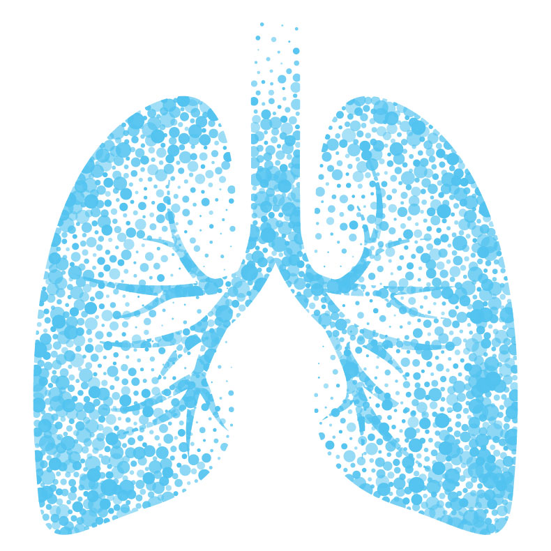 grafik lunge illustration