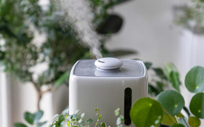 Gutes Raumklima trotz Heizung – 10 einfache Tipps